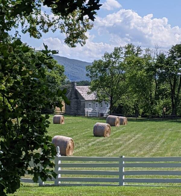 Lexington (72) Lexington (72)