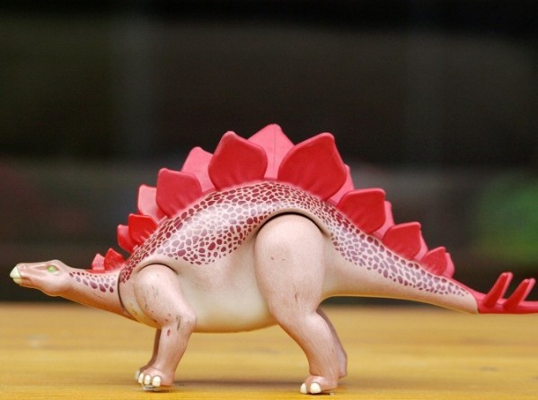 stegosaurus2 stegosaurus2