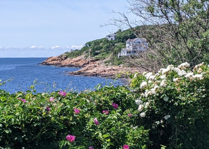 Cape Ann (97)