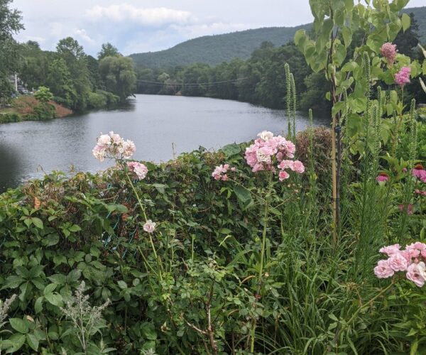 new hampshire (12) new hampshire (12)