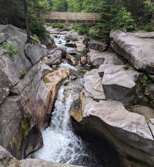 new hampshire (40) new hampshire (40)