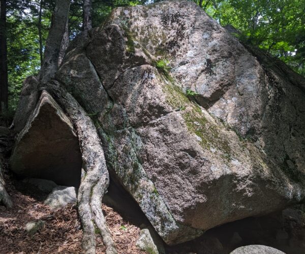 new hampshire (53) new hampshire (53)