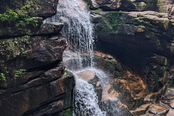 new hampshire (63) new hampshire (63)
