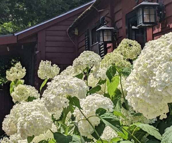 new hampshire (87) new hampshire (87)