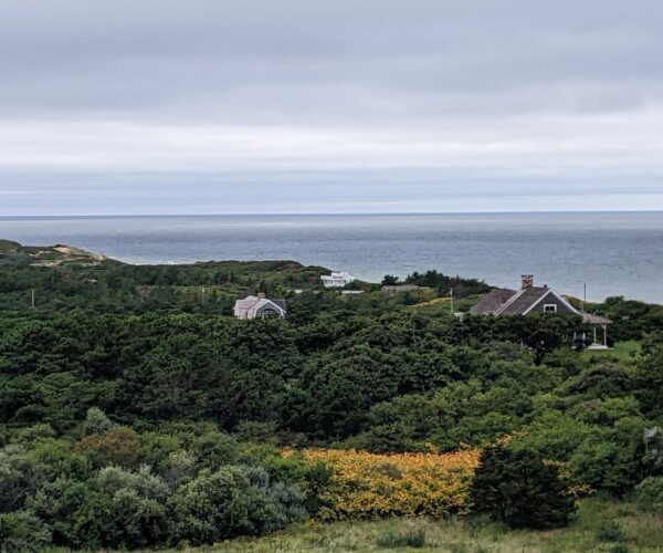 Cape Cod (61)