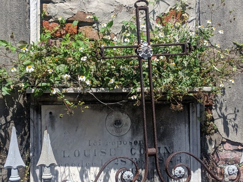 New Orleans (29) New Orleans (29)