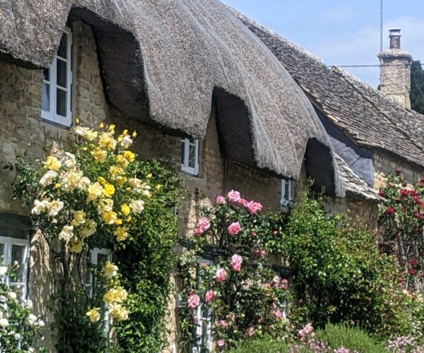 Cotswolds (37) Cotswolds (37)