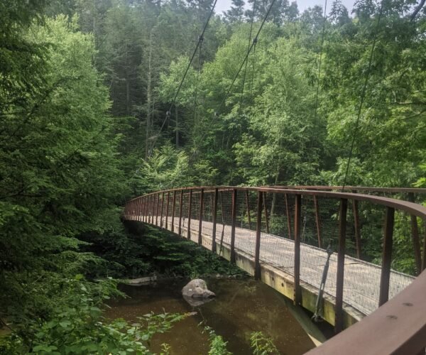 Connecticut (45)