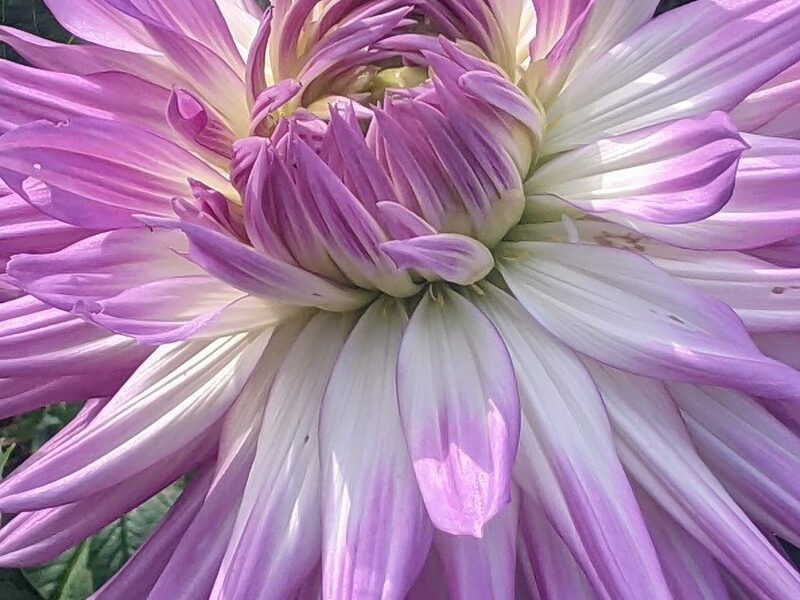 Ireland 4 (57) Ireland 4 (57)