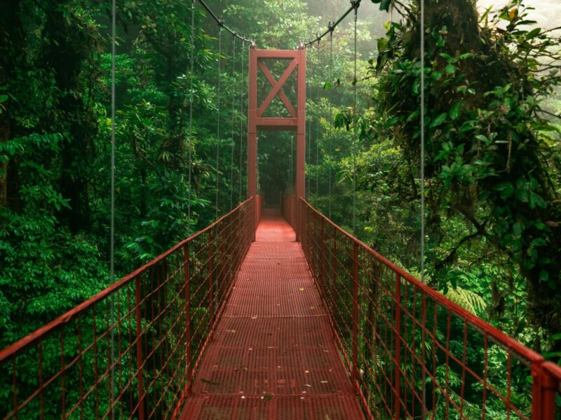 costa rica suspension bridge