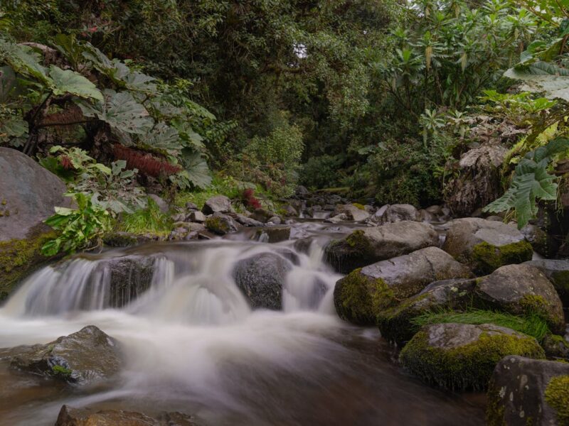 costa rica waterfall cascade