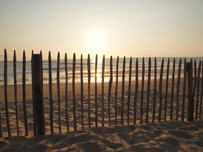 sand fence sunset