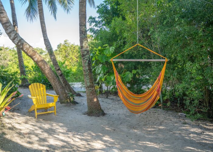 beach hammock