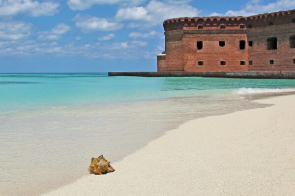 dry tortugas