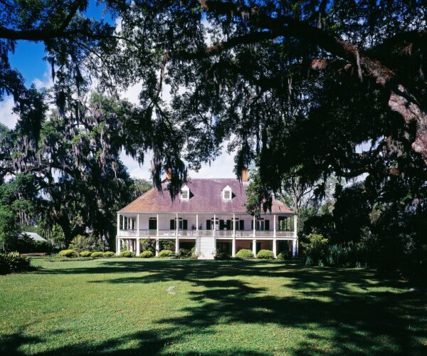plantation 3 plantation 3