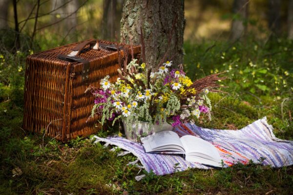 picnic lunch