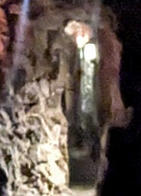 Blair St Wolf 1
