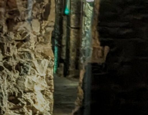 Blair St doorway no wolf
