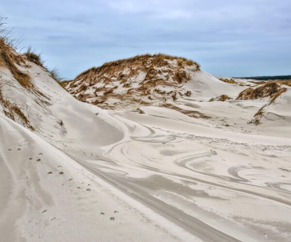 sand-dunes