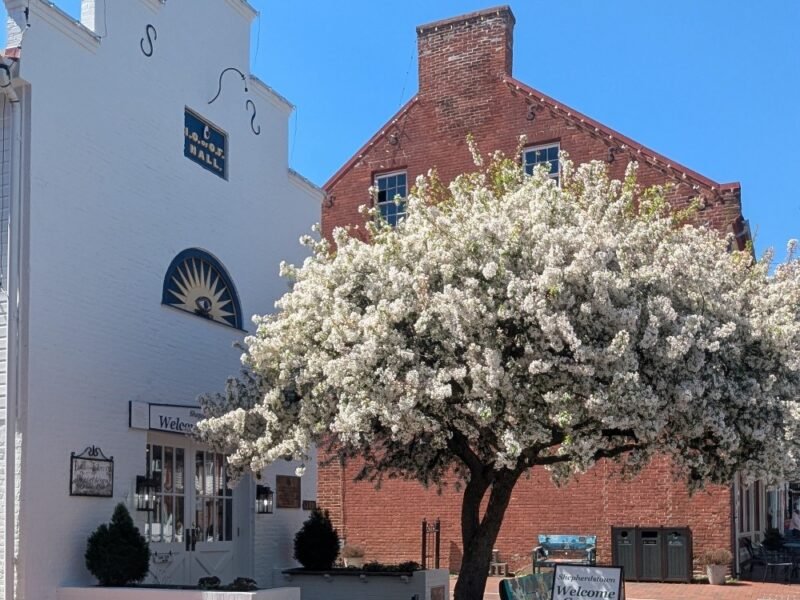 shepherdstown wv