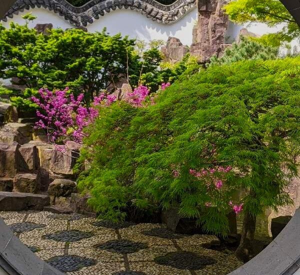 Japanese garden crop