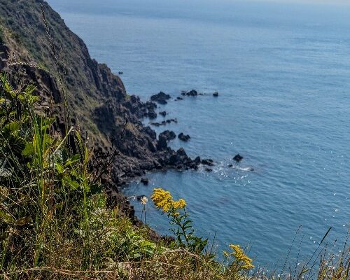 bay of fundy cliffs