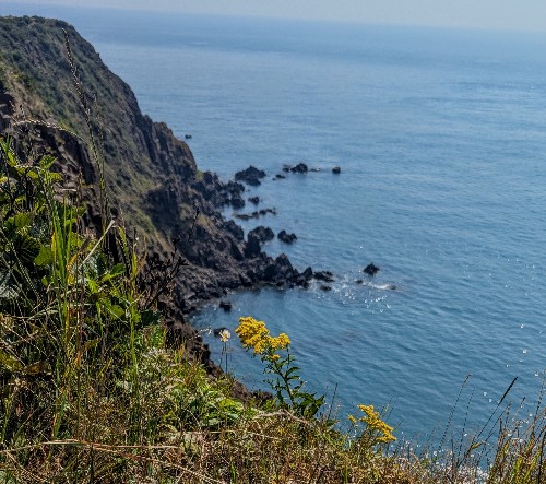 bay of fundy cliffs