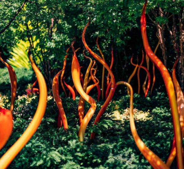 chihuly garden