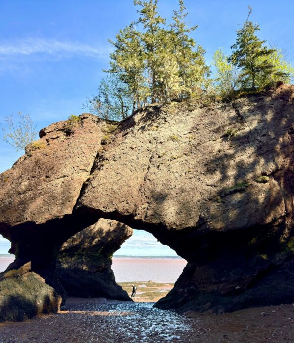 hopewell rocks cliose