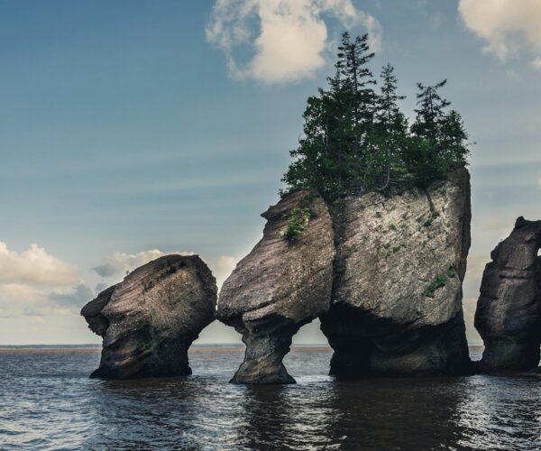 hopewell rocks high tide