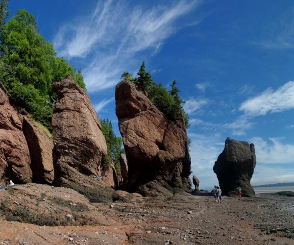 hopewell rocks low tide