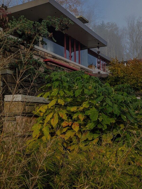 lynn hall outside lynn hall outside