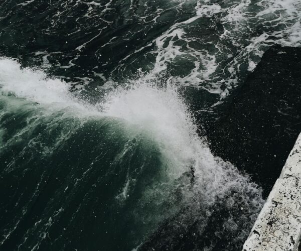 reversing rapids view