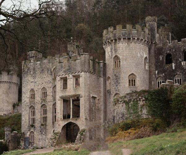 gwrych castle gwrych castle