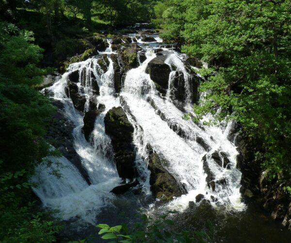 swallow falls swallow falls