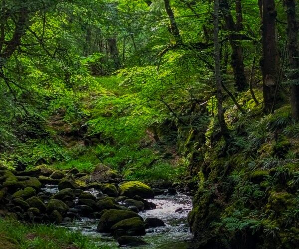 wales fairy glen wales fairy glen