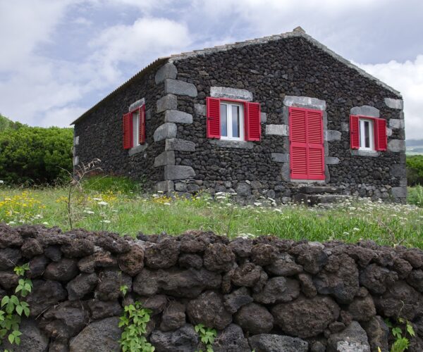 pico lajido pico lajido