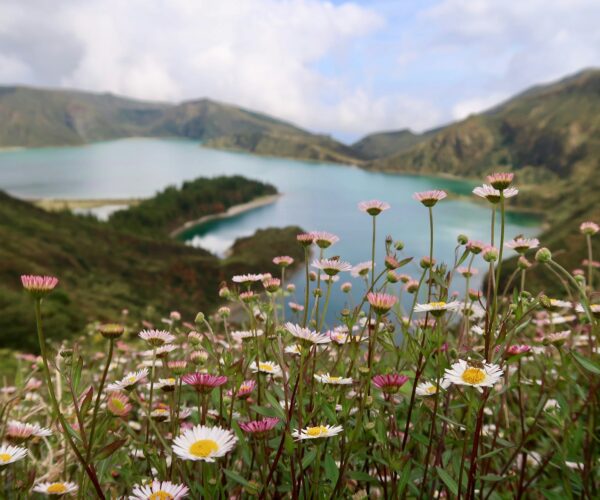 pico lakes pico lakes