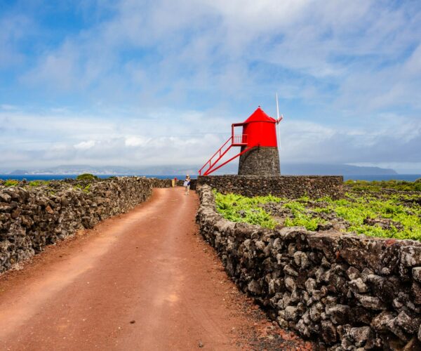 pico vineyards windmill pico vineyards windmill