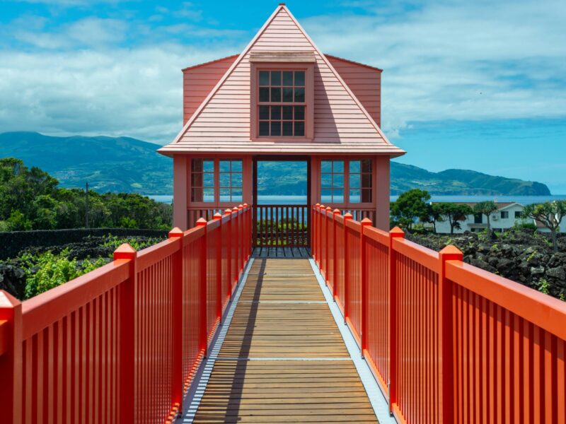 pico wine museum pico wine museum