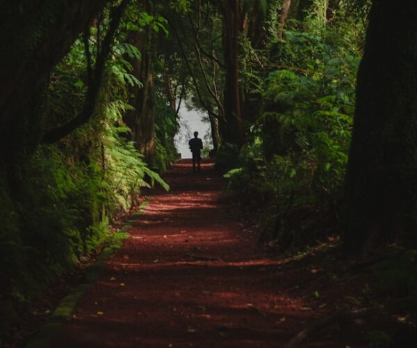 sao jorge parque florestal sete fontes sao jorge parque florestal sete fontes