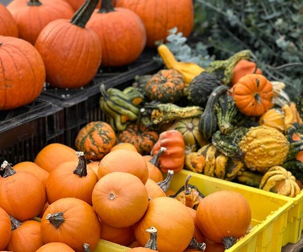 fall market