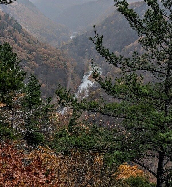 pine creek gorge pine creek gorge