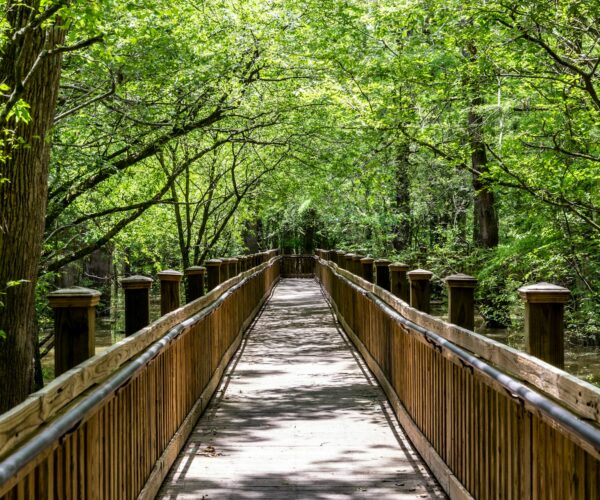 cypress boardwalk cypress boardwalk