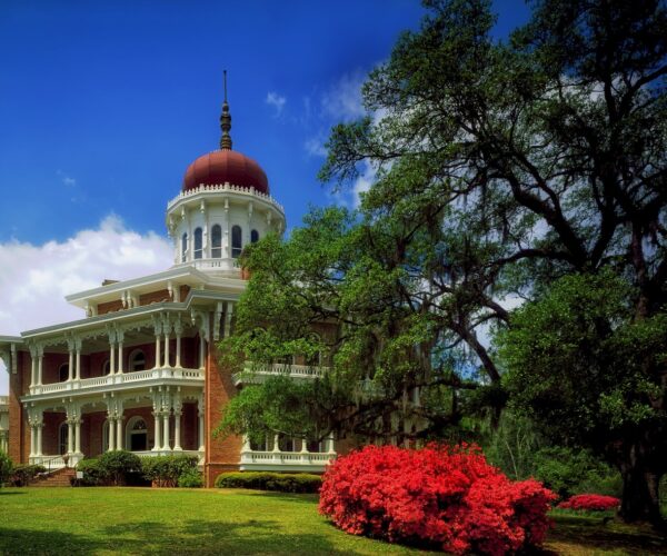 natchez longwood natchez longwood