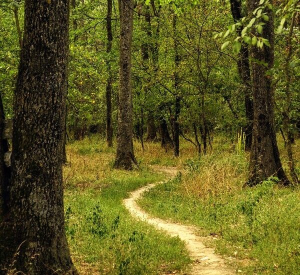 natchez old trace natchez old trace