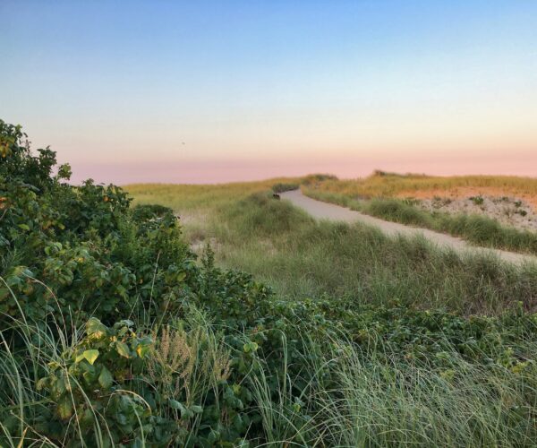 cape cod views